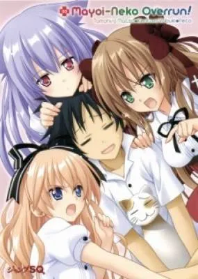 IMG