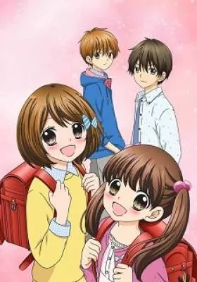 IMG
